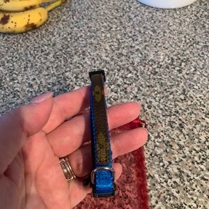 Not auth patterned small dog collar